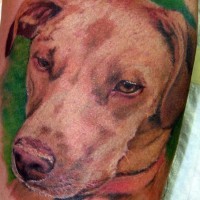 Lovely dog on green background tattoo