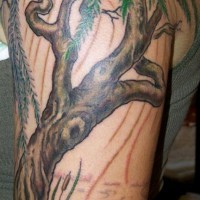 Gran tatuajeel árbol en la jungla