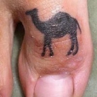 Le tatouage original de dromadaire sur le gros orteil