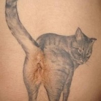 Dirty kitty cat butt hole tattoo on tummy button