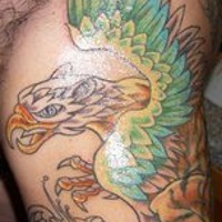 tatuaje colorido en el brazo de grifón con alas