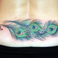 Peacock feathers lower back tattoo