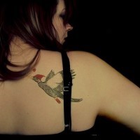 Flying bird tattoo on shoulder