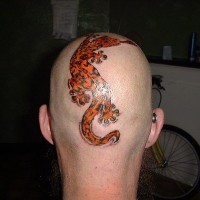 Tatuaje en la cabeza, lagarto coloreado como un tigre