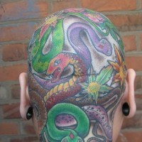 Design Tattoo von vielen farbigen Schlangen auf dem Kopf