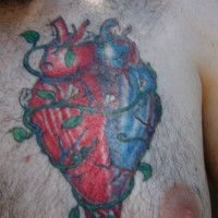 tatuaje de corazón azul y rojo en la hiedra