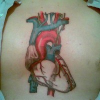 Biologically correct heart tattoo
