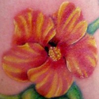 Colourful hibiscus flower tattoo