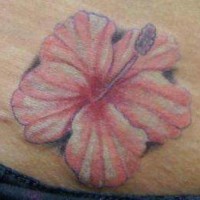tatuaje 3D de hibiscus rosa