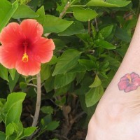 Small hibiscus tattoo with real one