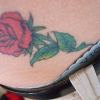 Beautiful , colourful,natural  rose hip tattoo