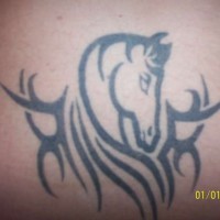 tatuaje de caballo en estilo tribal
