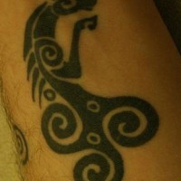 Celtic style horse tracery tattoo
