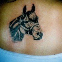 Riding horse head tattoo