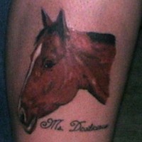 Realistischer Pferdekopf Tattoo