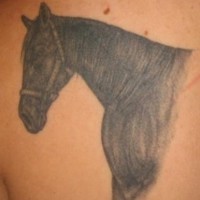 tatuaje realístico de caballo negro en calma