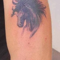 Horse head black ink tattoo