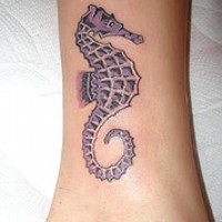 Seepferdchen Tattoo