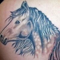 Le tatouage réaliste de la tête de cheval blanc
