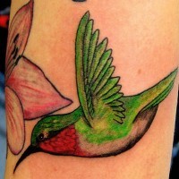 Colourful green hummingbird tattoo