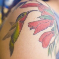 Exotic hummingbird tattoo