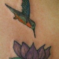 Hummingbird on purple lotus tattoo