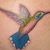 Realistic coloured hummingbird tattoo