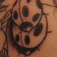 Humping ladybugs tattoo in black ink