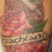 Le tatouage d'inscription Teaghlach avec des roses et une colombe et de nœud en fond