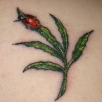 Tiny ladybug on plant tattoo