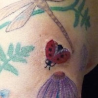 Le tatouage de coccinelle avec une libellule en couleur