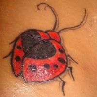 Ladybug with heart on back