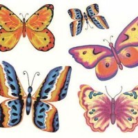diverse farfalle colorate tatuaggio