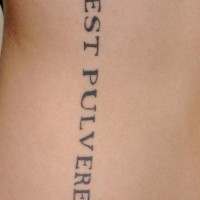 non est pulvere  palma scritti latini tatuaggio