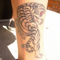Leg tattoo, tall shouting dangerous tiger