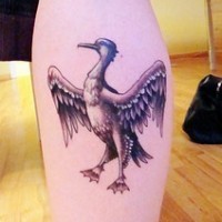 Un gros canard tatouage sur le mollet avec des beaux ailles
