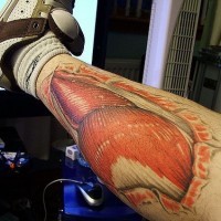 Bein Tattoo, rote realistische Gefäße, Muskeln