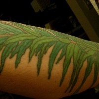 Leg tattoo, green thick plant, many leaves