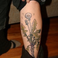 Leg tattoo, beautiful plant, dandelions
