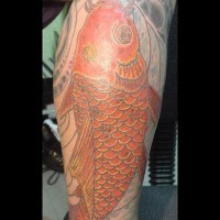 Grande carpa colorata tatuata sulla gamba