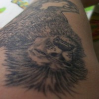 Tatuaje en la pierna, león que ruge, descolorido