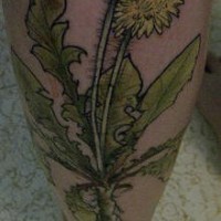 Tatuaje en la pierna, dos dientes de leónes, hojar verdes