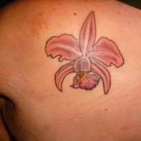 Heraldic pink lily tattoo