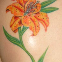 fiore giallo elegante sulla  spalla tatuaggio
