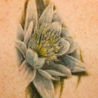 realistico fiore bianco lili  tatuaggio