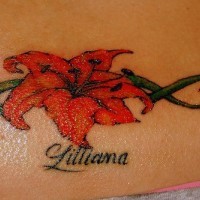 Lilie Blumen Maßwerk Tattoo
