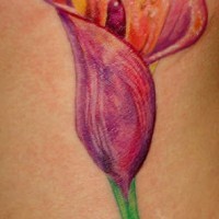 El tatuaje de una flor de cala hecho con combinacion de colores morado, rojo y naranja
