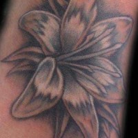 Black and white lily tattoo