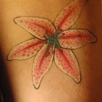 EL tatuaje de un Lirio rosa con puntos rojos en sus petalos y estambres verdes