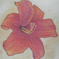 El tatuaje de un Lirio rojo con los estambres amarillos